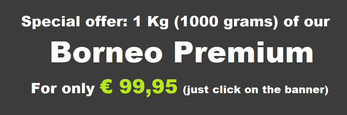 Borneo Premium