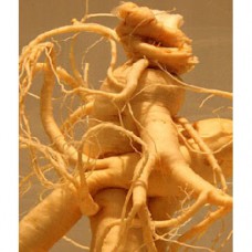 Ginseng (Panax) 10:1 - 100 Capsules red / white a 400mg Ginseng (Panax) 10:1 - 100 Capsules red / white a 400mg