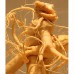 Ginseng (Panax) 10:1 - 100 Capsules red / white a 400mg Ginseng (Panax) 10:1 - 100 Capsules red / white a 400mg